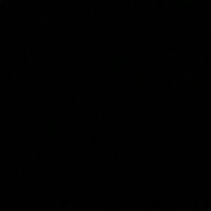 Meet your Posher, Kody